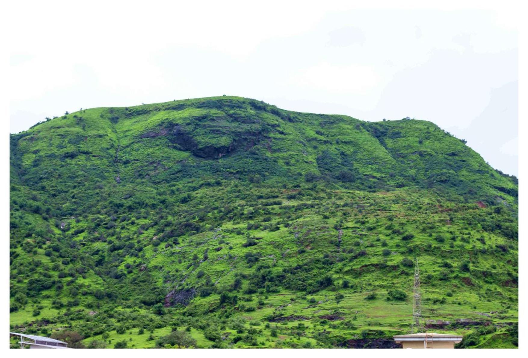 Salt Life Villa Lonavala Ngoại thất bức ảnh